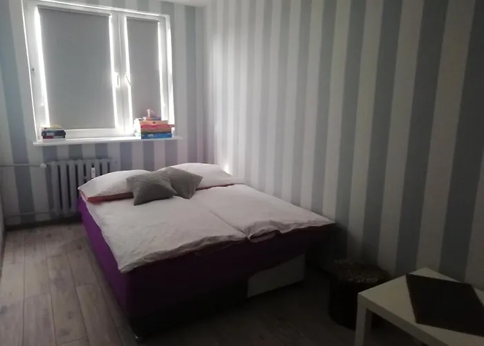 Apartament Biala Mewa